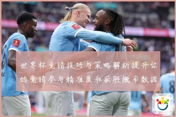 世界杯竞猜技巧与策略解析提升你的竞猜参与精准度和获胜概率数据研判-深度解析