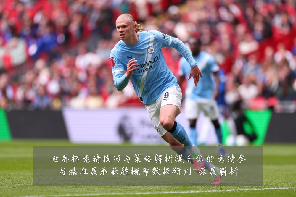 世界杯竞猜技巧与策略解析提升你的竞猜参与精准度和获胜概率数据研判-深度解析