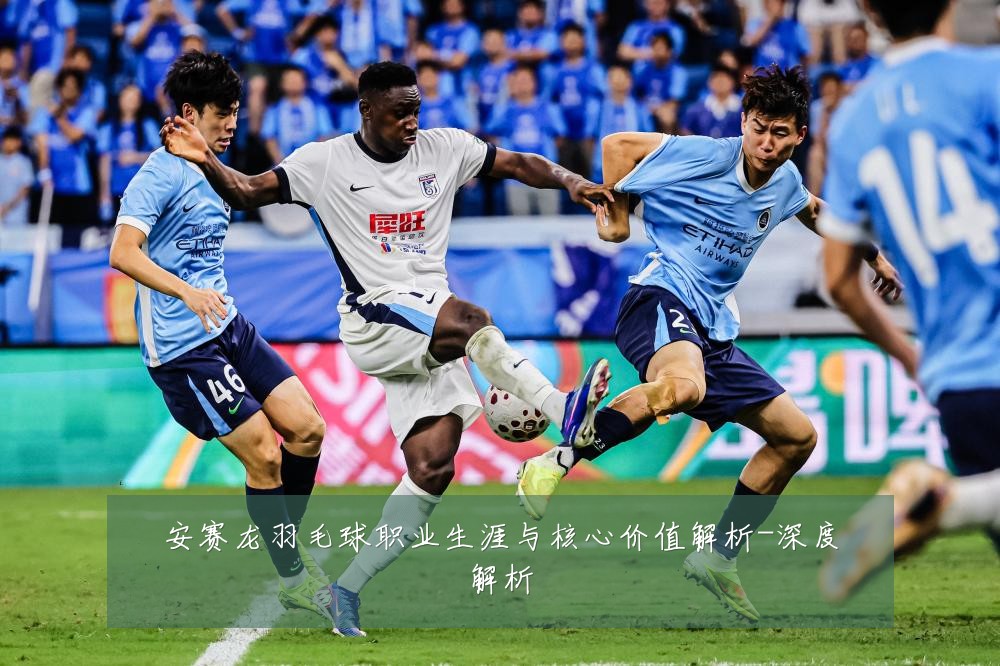 安赛龙羽毛球职业生涯与核心价值解析-深度解析